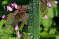 Bild zum Eintrag (1140792-28)